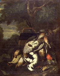Dead Grouse, Woodpecker, Duck and Other Dead Birds in Wooded Landscape