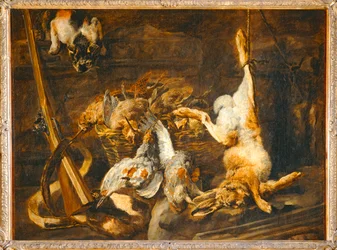 Game and Hunting Gear Discovered by a Cat