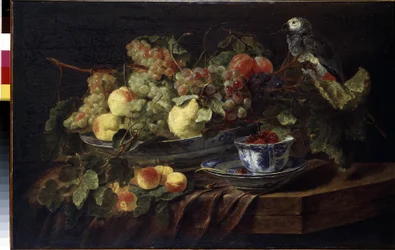 Still Life with Fruit and Parrot