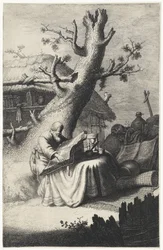 Saint Jerome Reading Under a Tree