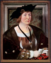 Portrait of Hendrik III, Count of Nassau-Breda, c1516-1517