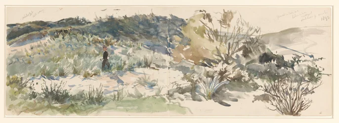 Dune Landscape