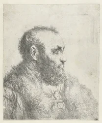Bust of an Old Man with Fur Coat