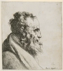 Bust portrait of a bearded old man, in profile to the right