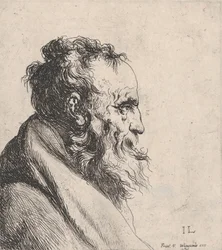 Bust of an Old Man