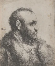 Bust of an Old Man with a Fur Collar