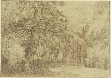 Forest Scene, to the Left of the Path a Large Oak