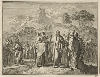 Plucking Grain on the Sabbath