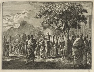 Zacchaeus in the Fig Tree
