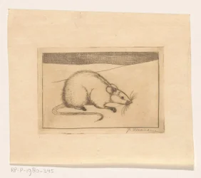 Mouse