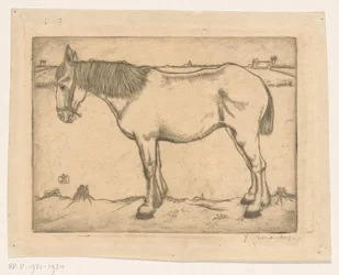 Horse