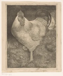 Rooster on One Leg