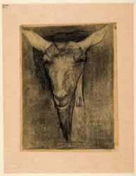 Head of a Goat