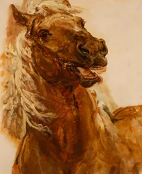 Sketch of a Horse