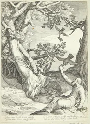Elijah Fed by Ravens in the Wilderness