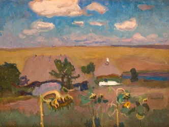 Sunflowers