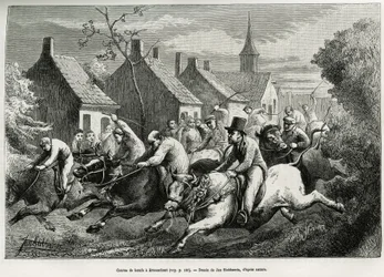 Race of oxen in Braesschaet (engraving by Jan Swerts, to illustrate the story 