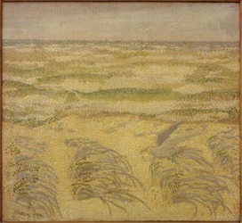 Dune and Sea