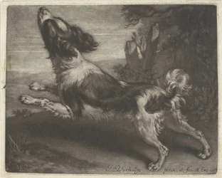 Running Dog, Possibly a Spaniel