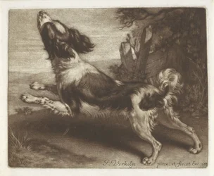 Running Dog, Possibly a Spaniel