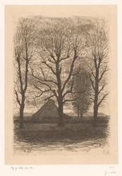 Farmhouse Among Tall Trees, Ewijkshoeve