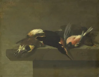 Dead Birds