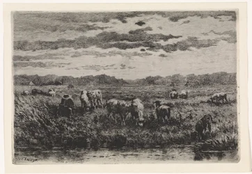 Landscape with Sheep