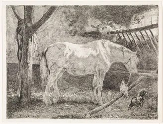 Horse in Stable