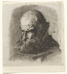 Study of an Old Man