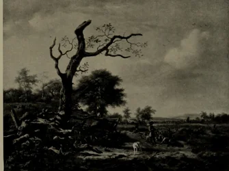 The Leafless Tree
