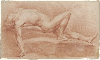Male Nude Lying on Back