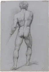 Standing Male Nude, Seen from the Back