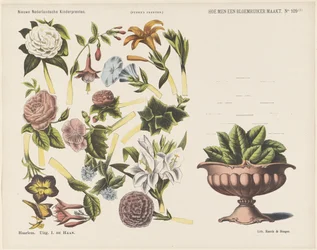 How to Make a Bouquet (New Dutch Children