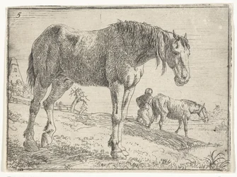 Standing Horse (Landscapes with Horses series)