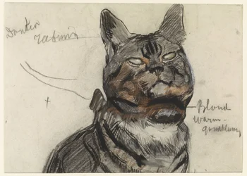 Cat, with Color Notes
