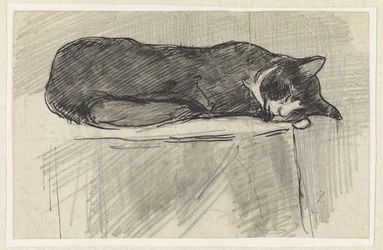 Sleeping Cat