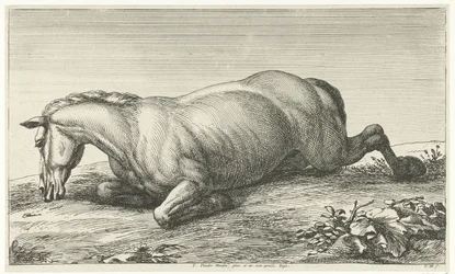 Fallen Horse Lying on Its Belly (Fallen Horses series)
