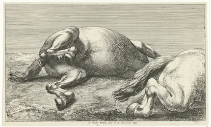 Two Fallen Horses, the Right One Seen from the Side Fallen Horses (series title)