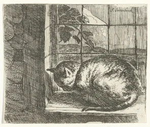Cat in the Window Frame