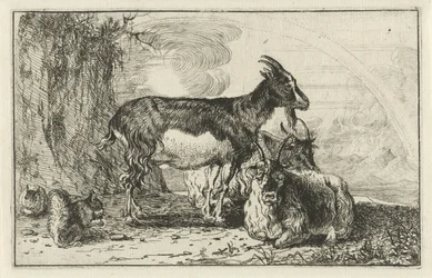 Goats (Animals)