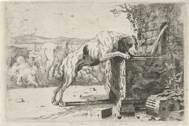 Dog by a Fountain