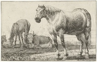 Horses and Cows (Animals) (Zoographiam)