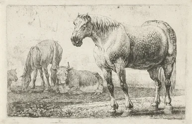 Horses and Cows (Animals) (Zoographiam)