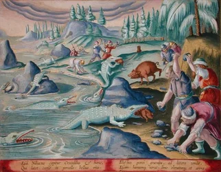 Capturing Crocodiles on the Banks of the Nile Using Tethered Pigs as Bait, Plate 87 from 