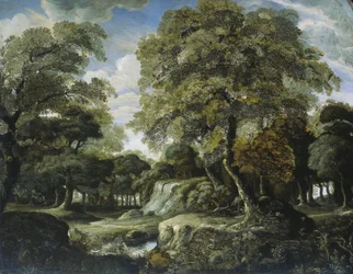View in the Woods