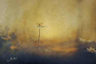 Golden Dream Flower