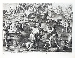 Digging Out and Capturing Porcupines, plate 54, illustration from 