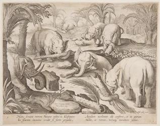 Elephants Helping Each Other out of a Trap, Plate 1 from the Venationes Ferarum, Avium, Piscium Series