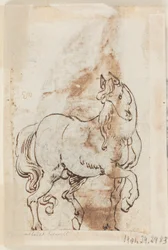 Page of a Drawing Book; Study for Painting of St. Magdalen; A Stallion