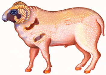 Aries the Ram